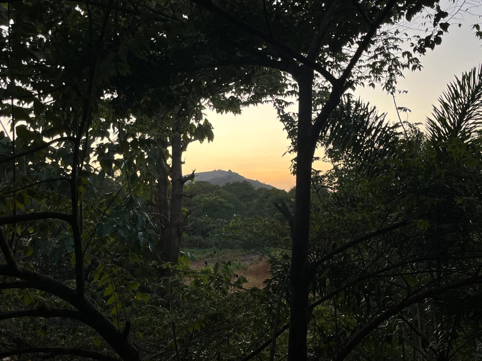 Sigiriya Rock Gate Resort Екстер'єр фото