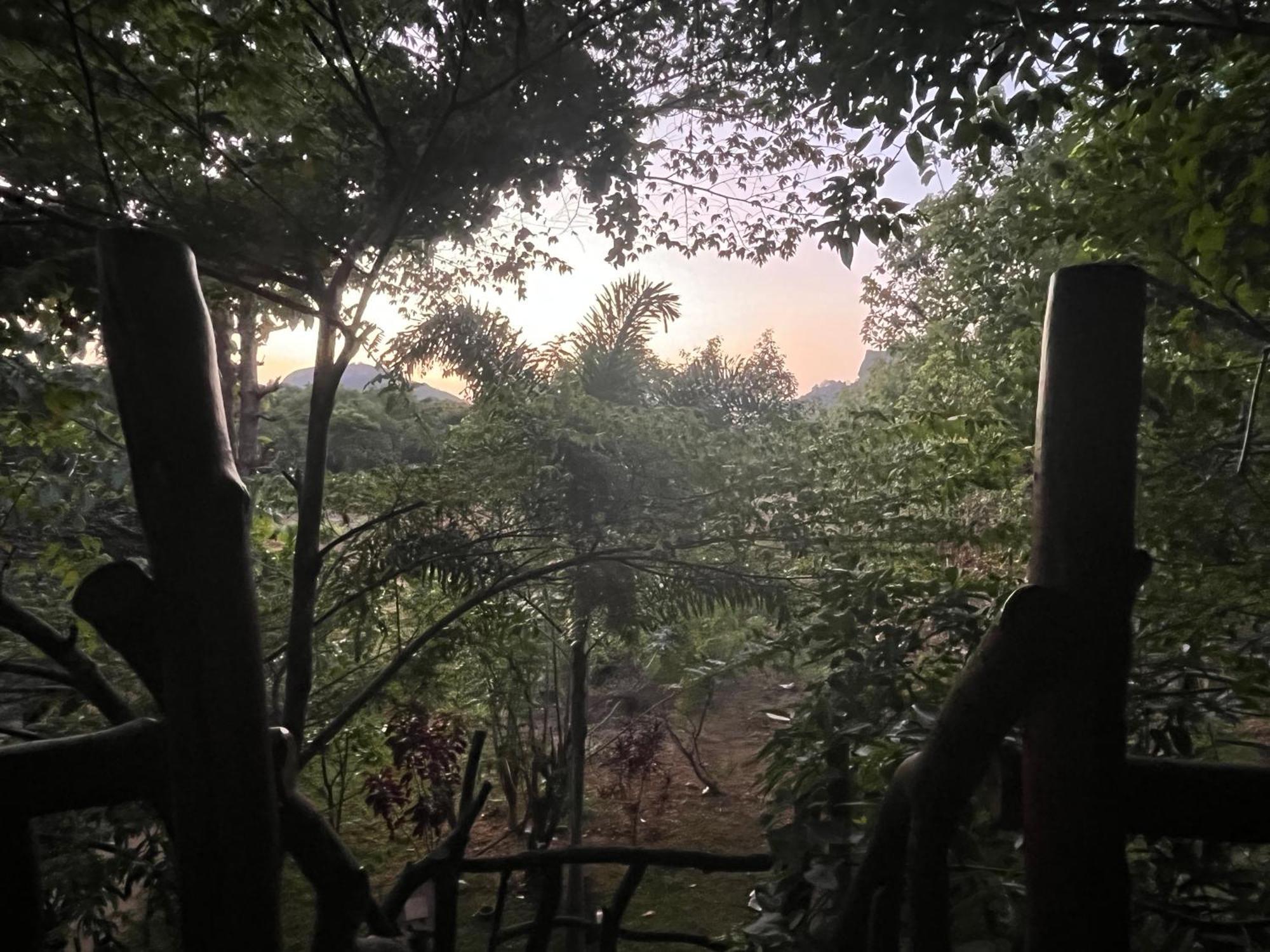 Sigiriya Rock Gate Resort Екстер'єр фото