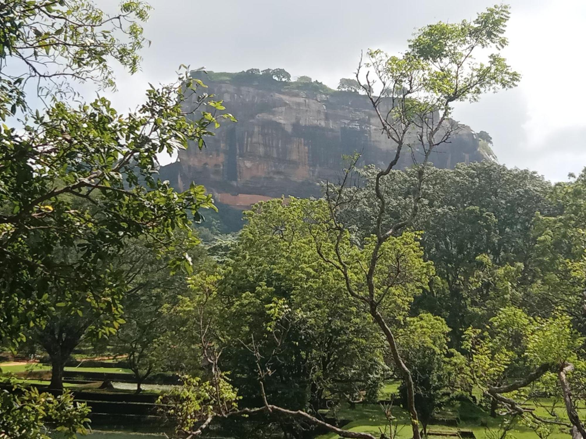 Sigiriya Rock Gate Resort Екстер'єр фото