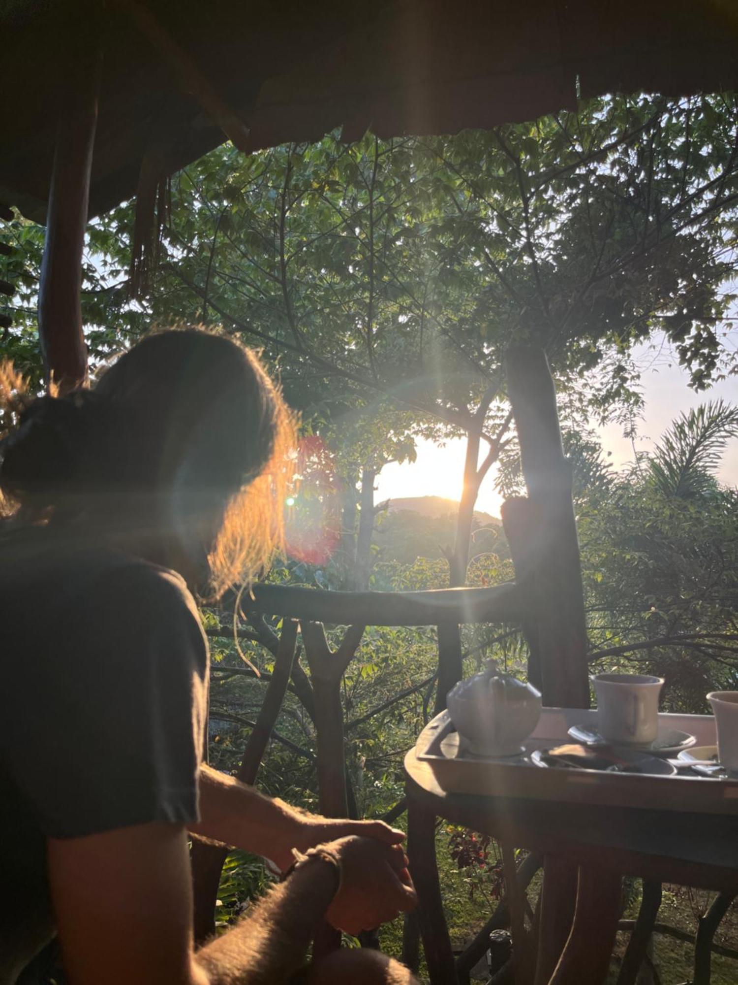 Sigiriya Rock Gate Resort Екстер'єр фото