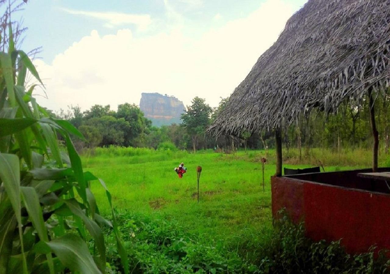 Sigiriya Rock Gate Resort Екстер'єр фото